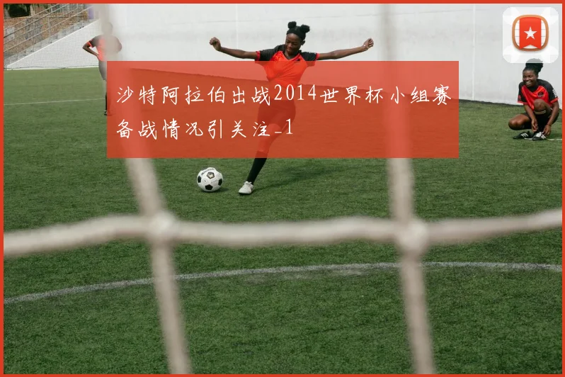 沙特阿拉伯出战2014世界杯小组赛备战情况引关注_1