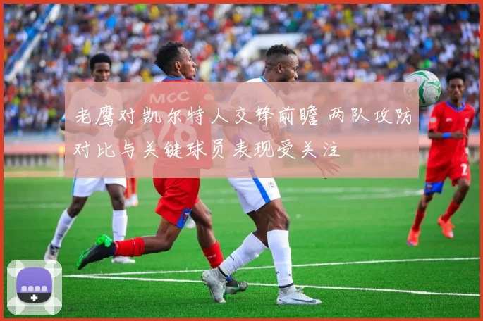 老鹰对凯尔特人交锋前瞻 两队攻防对比与关键球员表现受关注